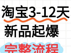 淘宝3到12天起新品教程分享